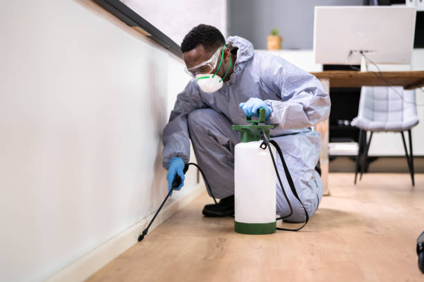 Real Estate Pest Inspections in Lansdale, PA